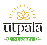 Utpala Nursery